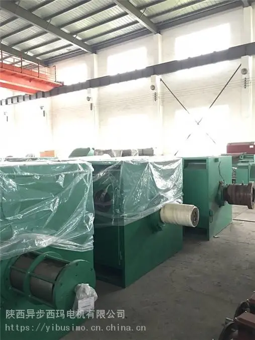 异步西玛电机YKS4506-8-315KW-6KV空水冷笼型转子异步电机(F级绝缘等级)