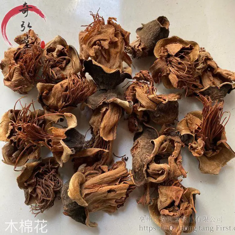 中药材木棉花-干燥当年货木棉花