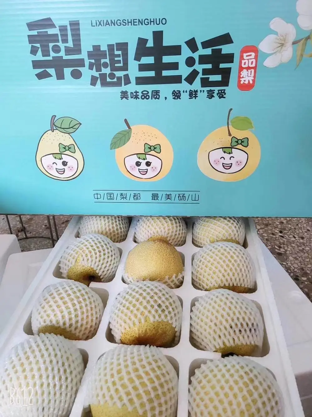 安徽砀山梨 百年老树精品酥梨 代发全国 电商一件代发