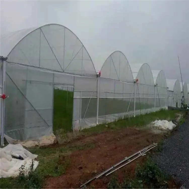 江西赣州热镀锌大棚管草莓大棚钢管长度温室蔬菜大棚