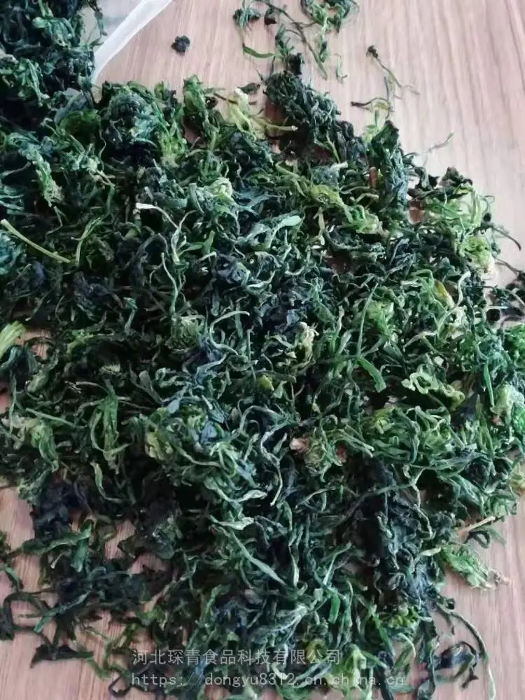 脱水荠菜整棵，泡发率4-5倍，味道浓郁，厂家直供，全国常年供应