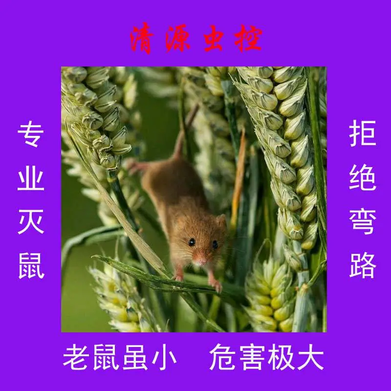 【清源虫控】常州泰州餐饮集中配送灭鼠神器费用高吗