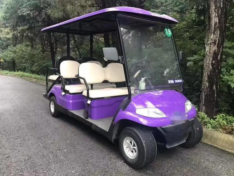 利凯士得电动观光车 学校园区四轮电动观光车