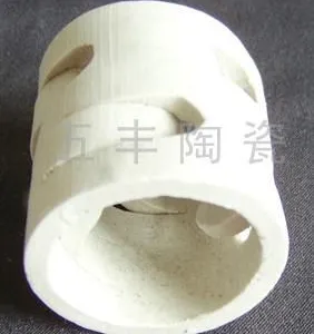 供应陶瓷鲍尔环,陶瓷填料