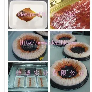 供应东莞佳诚冷冻食品贴体膜