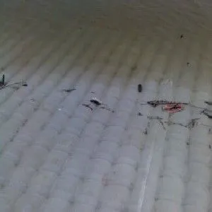供应【诚荐】专业水下模袋护坡资讯，一流的模袋护坡混凝土施工