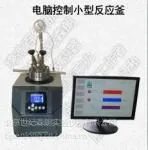 上海供应TFM电脑控制小型反应釜