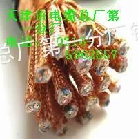 供应电子计算机电缆 DJYPV-2X2X1.0