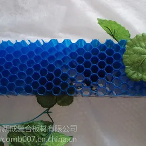 *** 促销过滤器用塑料蜂窝板材(图)质量*** 价格优惠