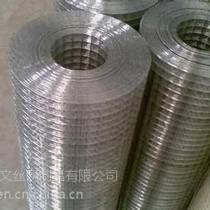 镀锌电焊网厂家(图)_镀锌电焊网多少钱_镀锌电焊网