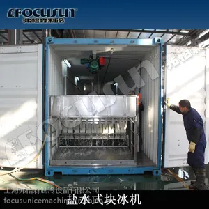 供应弗格森日产10吨盐水块冰机FIB-100WH/集装箱式盐水块冰机