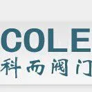 上海科而阀门有限公司