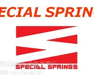 供应意大利Special氮气弹簧