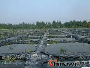 山东的鱼池防渗膜生产厂家15244196136 田经理