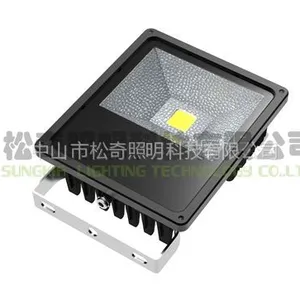 供应中山供应50WLED投光灯/节能灯