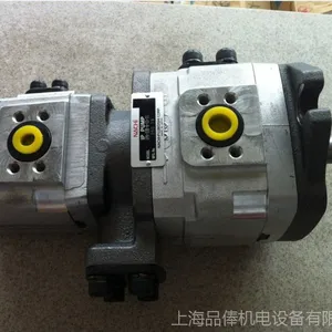 IPH-22B-6.5-6.5-11双联泵W-IPH-22B-6.5-6.5-LT-11