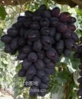 ��Ӧ�������������磬���ۺ��������������磬�����޷�������
