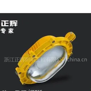 供应防爆应急无极灯
