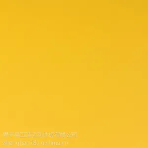 PVC�ذ� �׶�԰���˶���ר�� ���ڵذ� ����ذ� ����ʩ�� ***����