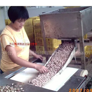 ��Ӧ����΢��HMWB-33SD�����濾�� ΢������������ʳƷ���豸