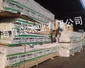 ��Ӧ����˹taige�����ɰ����ľ��ľľ��