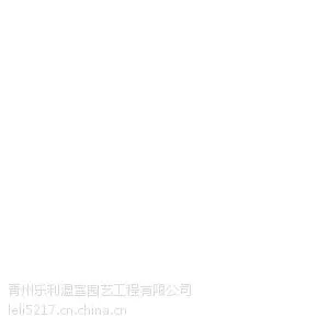 {【冬暖式日光温室建造 冬暖式日光温室造价】}
