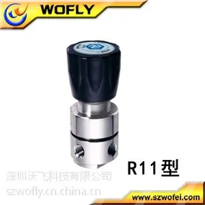 供应减压器3000psi不锈钢1/4R11