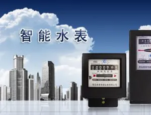 青岛青表电器仪表有限公司