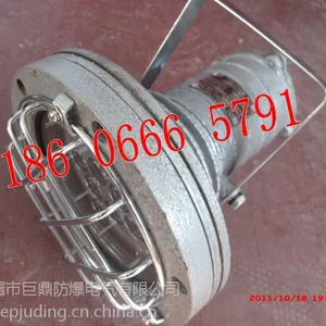 供应DGC24/127L(A)矿用隔爆型LED投光灯