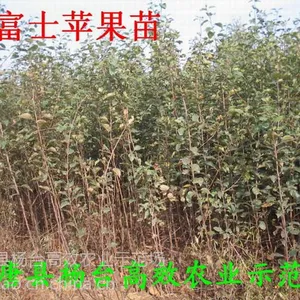 ��Ӧ�������ֹ�����۸�