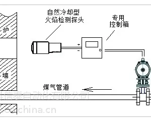 供应火焰检测仪表