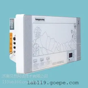 空气消毒机价格 肯格王SJG/G100壁挂式消毒机
