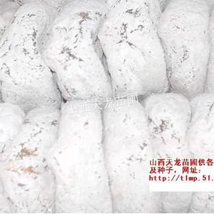 供应柿饼 辣椒 大葱 草莓 樱桃 桃 杏 苹果 山楂 青皮核桃 花椒