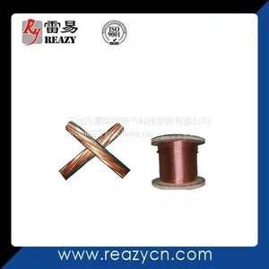 供应广州防雷接地材料--雷斯盾RY-DJ电镀铜绞线,水平接地线