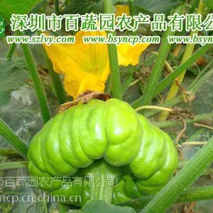 供应深圳蔬菜配送龙岗蔬菜配送专业的蔬菜有限公司