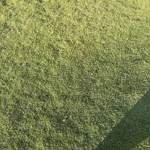 ���ϳ��ݲ�Ƥ ��������Ƥ�۸� ̨��ݾ����� �̻���Ƥ