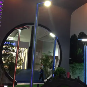 供应球杆型灯头灯头灯杆一体化设计***庭院灯,小区公园庭院灯