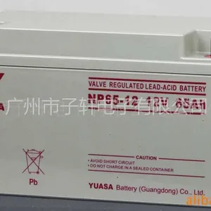 供应蓄电池65AH 价格 汤浅NP65-12报价 汤浅YUASA 65AH 电池单价