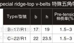 供应特殊聚氨酯五角带