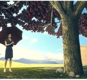 供应3D立体影片拍摄