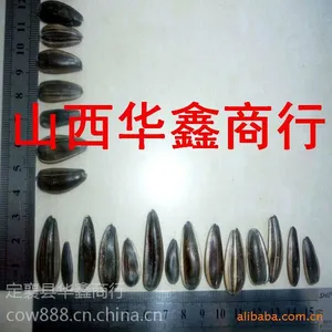 供应星火葵花籽 黑瓜子量大***
