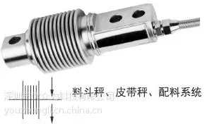 ��ӦHSXJ-A-300kg