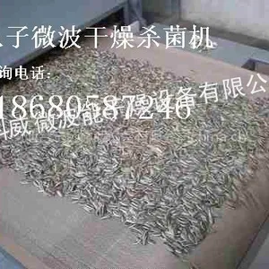 供应微波瓜子干燥机,微波瓜子灭菌机,瓜子微波干燥机价格,瓜子微波干燥机厂家