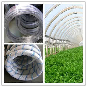 供应石笼网丝 刺丝 蔬菜大棚丝 围栏网丝 钢绞线 棉花打包丝