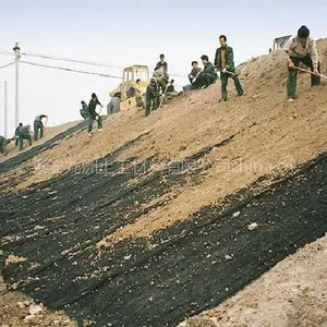 海南三维植被网,路堤边坡绿化,固土护坡