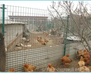 养殖围栏网/养殖围网/养殖网批发 厂家