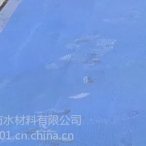 供应丽天PUS高分子***交叉膜自粘防水卷材招商