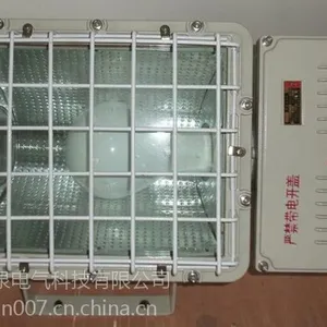 BnT81-N250防爆泛光灯_250W防爆高压钠灯