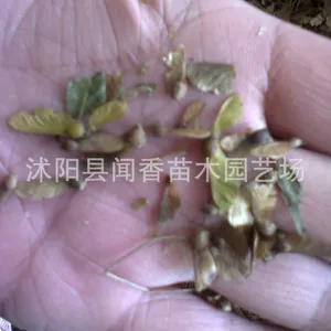 ��Ӧ�������***����������Ӽ۸� �������ֲ���� �ձ�����Ѽ۸�