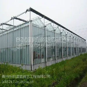 2015专业连栋温室建设、山东连栋温室建设